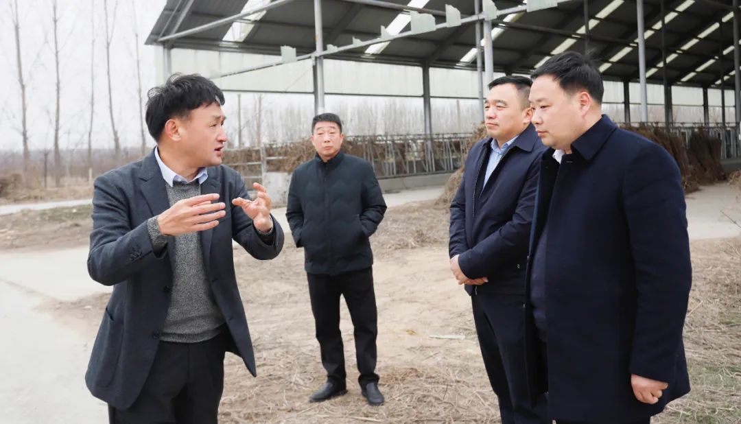 發(fā)揮產(chǎn)業(yè)優(yōu)勢 助力鄉(xiāng)村振興 | 民權(quán)縣委副書記、縣長王靜嫻會見關(guān)曉彥董事長一行