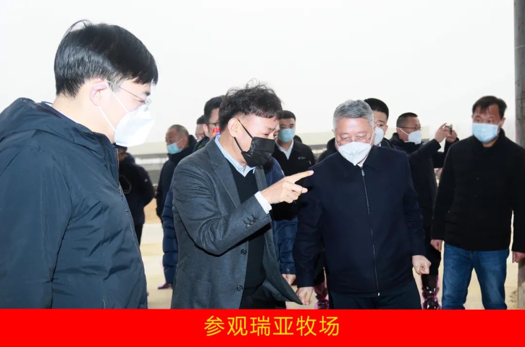新年開新局 合作促發(fā)展丨佳木斯市委常委、副市長閆志剛一行蒞臨花花牛乳業(yè)集團及佳田企業(yè)考察座談