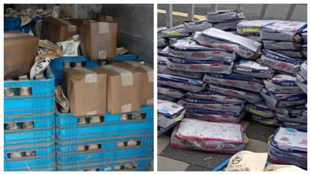 【乳報(bào)·聚焦】“豫”難而上的中原牛人“太中了”！