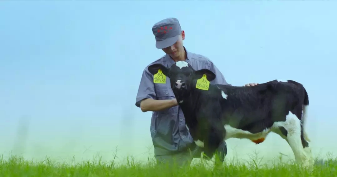 喜報 | 國家市場監(jiān)管總局抽檢，花花牛等112家企業(yè)乳品抽檢全部合格