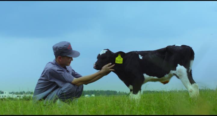 又雙叒叕獲獎啦！花花牛榮獲“乳品質(zhì)量安全管理 優(yōu)秀企業(yè)”
