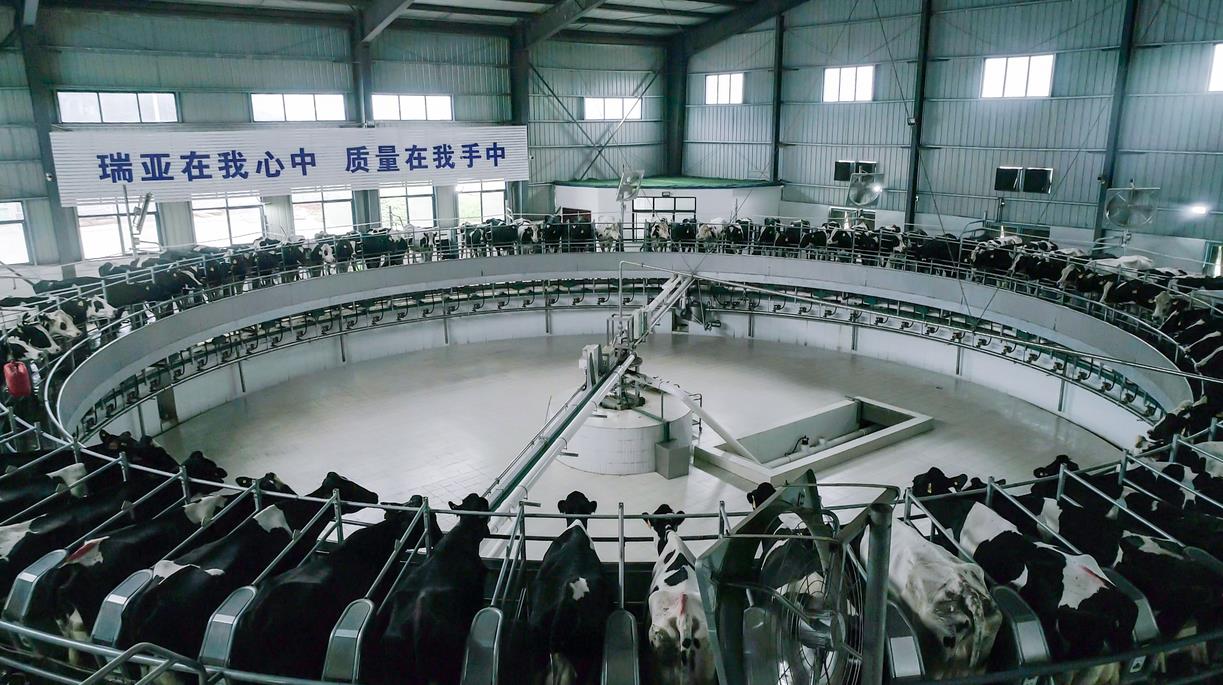 又雙叒叕獲獎啦！花花牛榮獲“乳品質(zhì)量安全管理 優(yōu)秀企業(yè)”