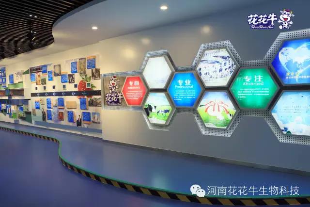花花牛：務(wù)實(shí)、創(chuàng)新領(lǐng)潮市場 大企業(yè)體現(xiàn)大擔(dān)當(dāng)